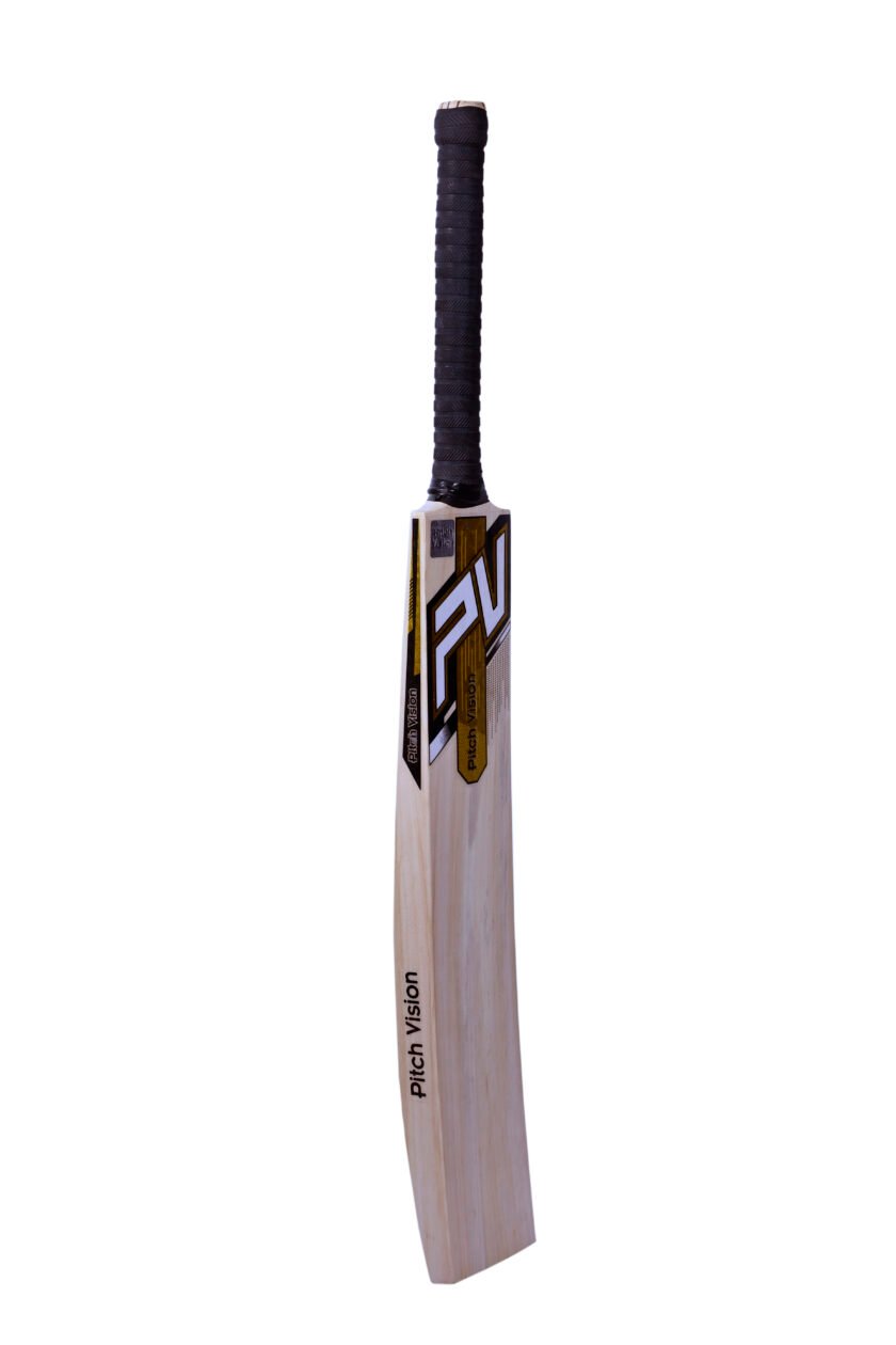 Leather Bat PV Addition - Image 4